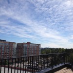 photo(1)
